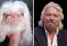 chien_sosie_richard_branson_virgin